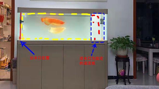 鱼缸放水的方法