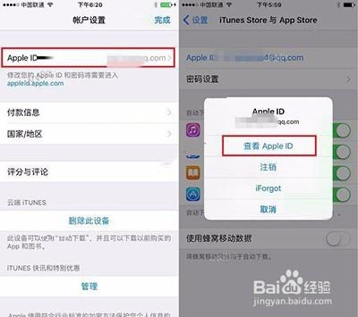 怎么把苹果商店设置成中文缩略图