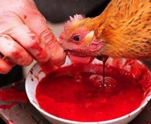 杀鸡后身上发红游戏截图