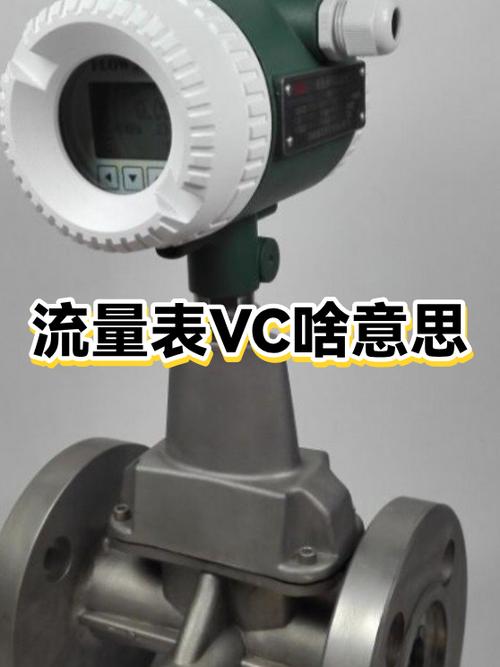 vc版是什么意思图标