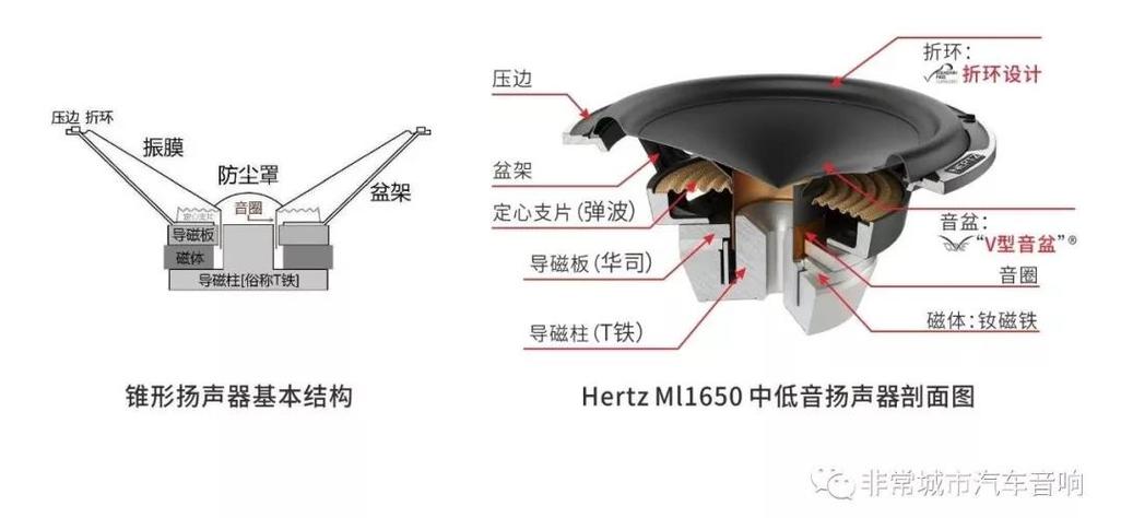 杨声器的结构