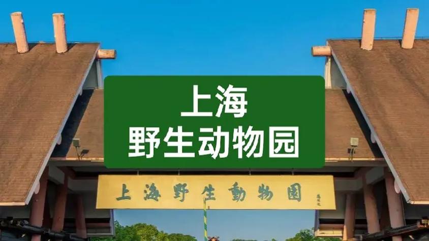 上海野生动物园一日游攻略