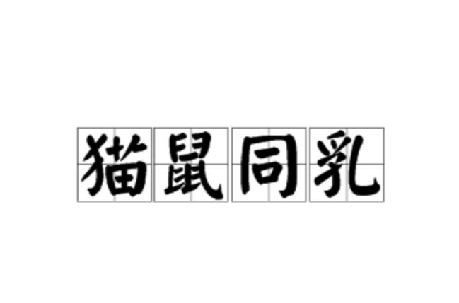 带猫的成语有哪些成语