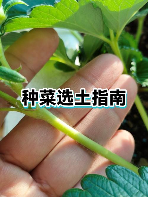 种菜的泥土去哪里弄图标