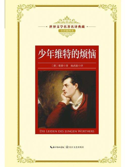 少年维特的烦恼小说免费阅读