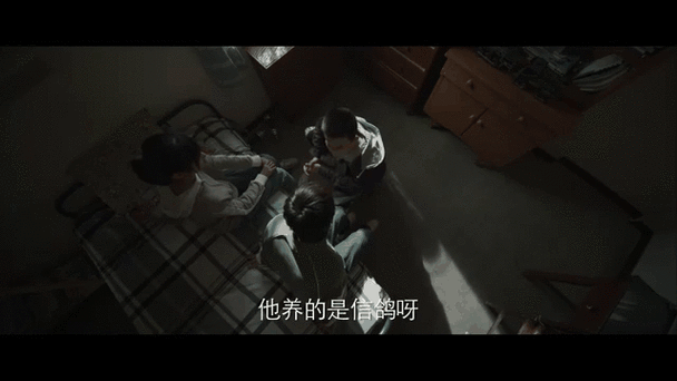 飞鸽传书TV版