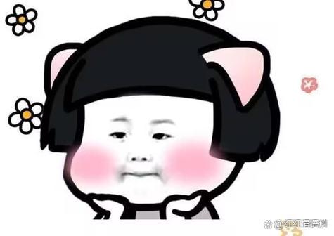 问问风你在哪里幽默回复