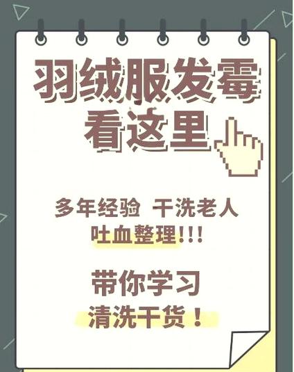 怎样去除羽绒服上的霉点霉斑游戏截图