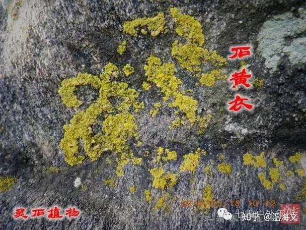 灵石的作用功效
