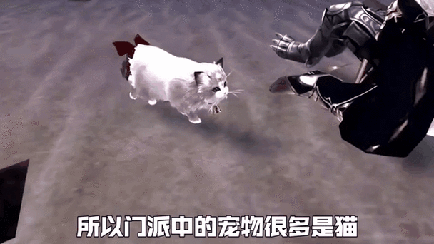 圣火猫猫教入教宣言