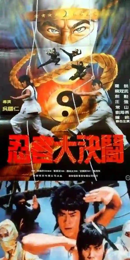 关于忍者的电影大全