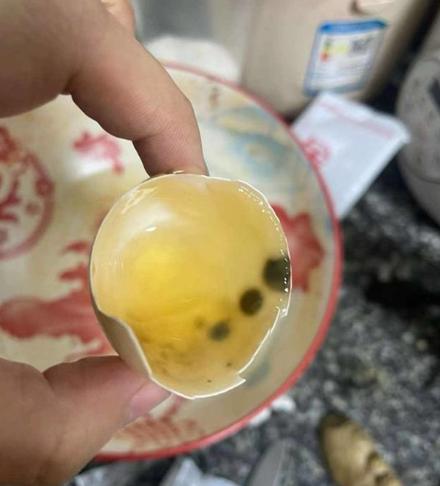 鸡蛋打开有黑点怎么回事
