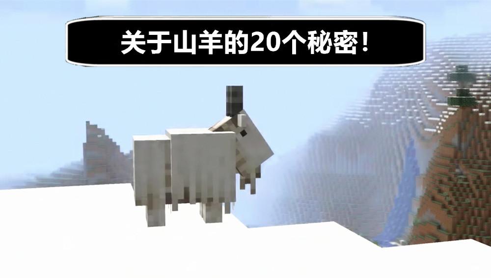 我的世界羊会攻击人吗
