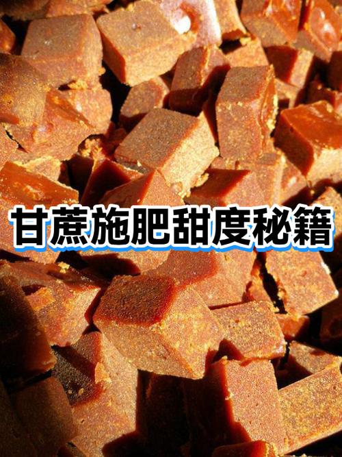 10亩甘蔗能挣20万吗