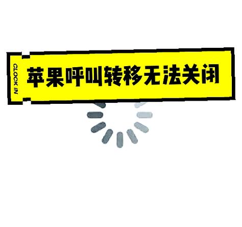苹果x呼叫转移保存不了