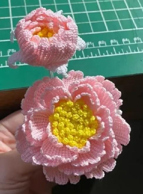 牡丹花的钩法图解截图