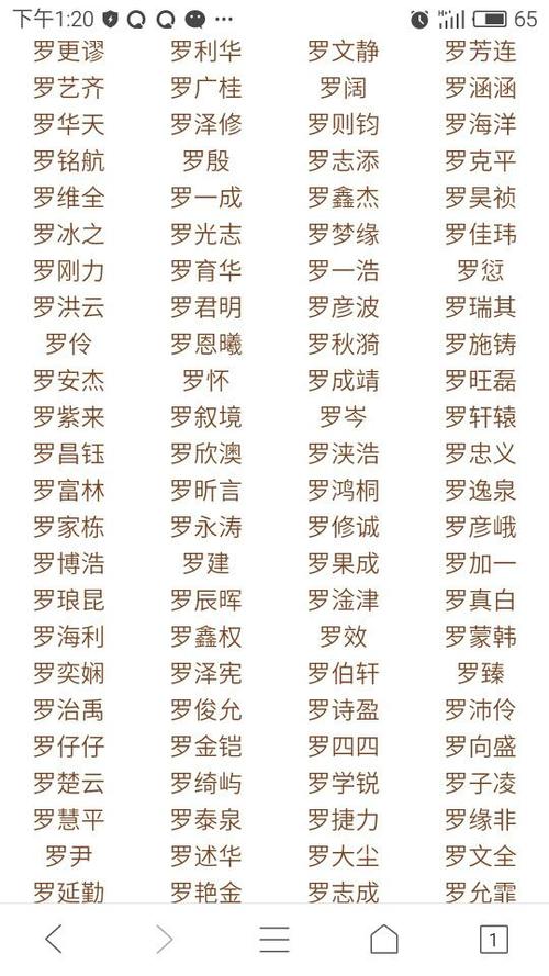 起名字大全男孩