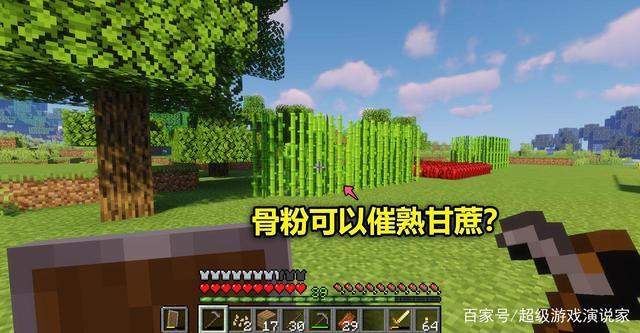 我的世界骨粉可以催熟甘蔗吗