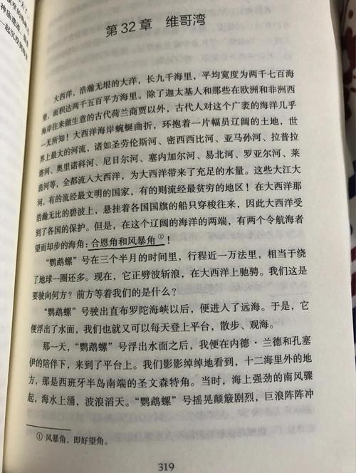 尼摩船长最后击沉的是什么船