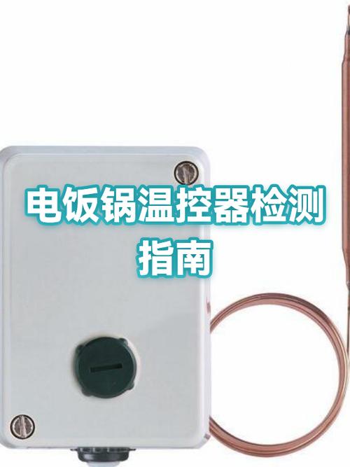 电饭锅不用温控器可以吗