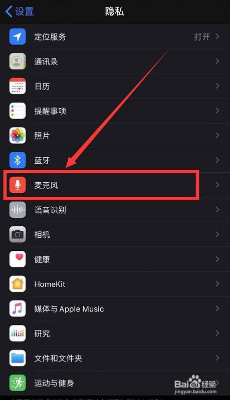 苹果手机麦克风设置在哪