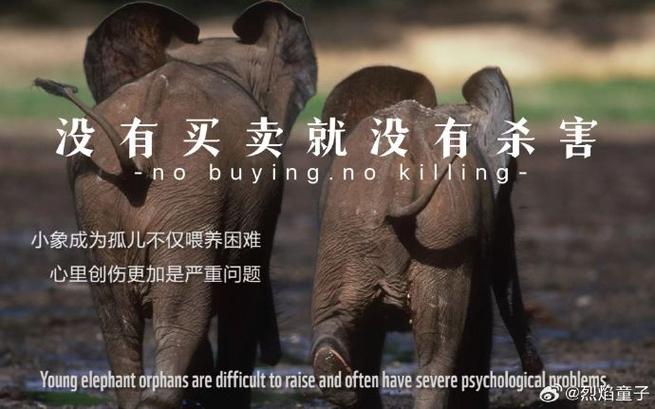 没有广告图标