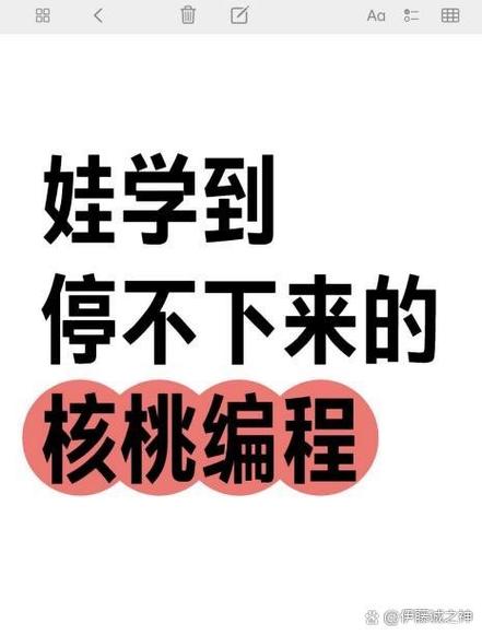 核桃编程python年课