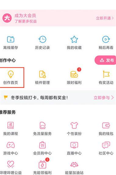 哔哩哔哩专属充电在哪看截图