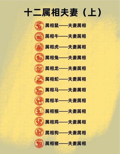 12生肖最佳夫妻配对