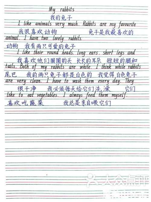 七年级英语短文阅读