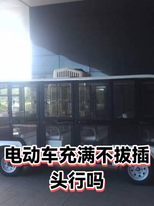 充电器充满了不拔行吗图标