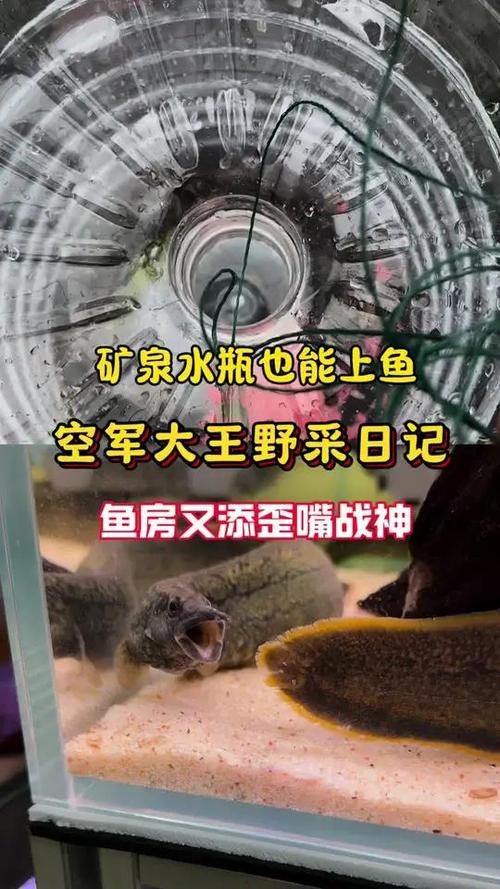 矿泉水瓶制作捕鱼器缩略图