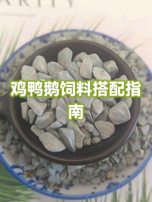 丫鸭梦想家怎么获得饲料