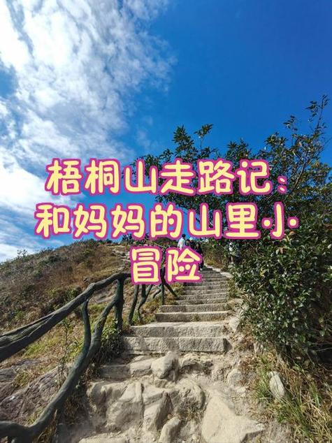 步数打卡活动方案