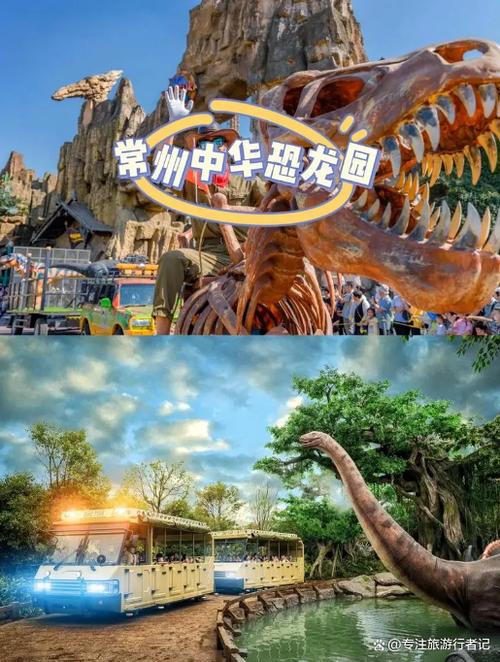 梦幻恐龙园免广告不需要登录