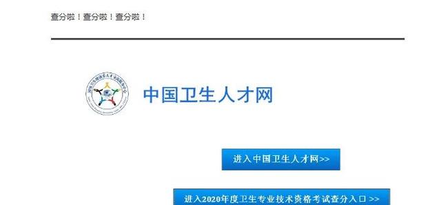 中国人才卫生网查询成绩