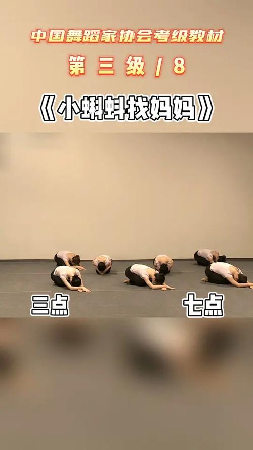 中国舞蹈家协会考级3