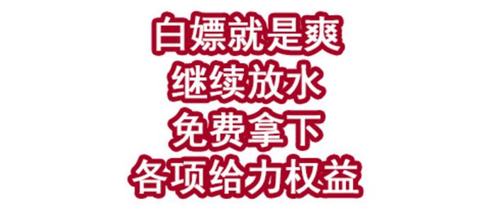网络用词白嫖