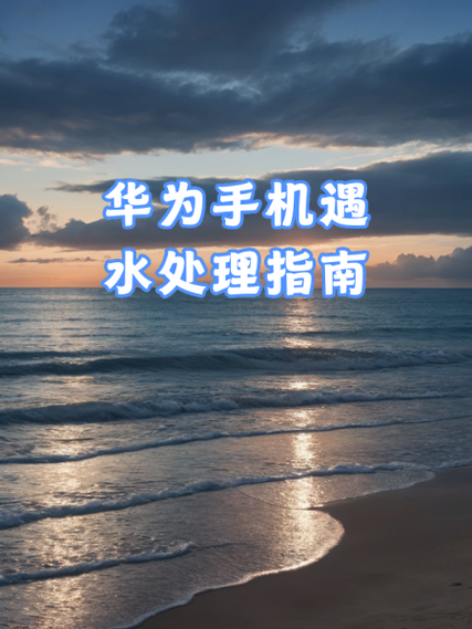 手机进水一般几天能干