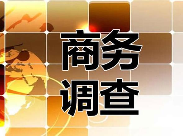 商务调查公司
