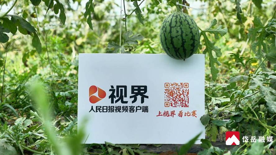 电视看电视直播的软件缩略图