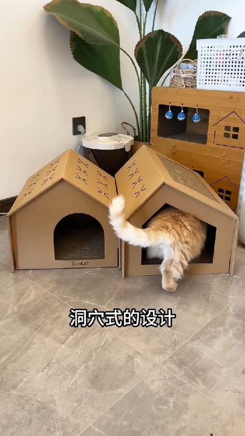 纸盒做猫窝截图