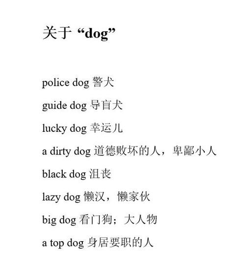 dog是什么中文意思