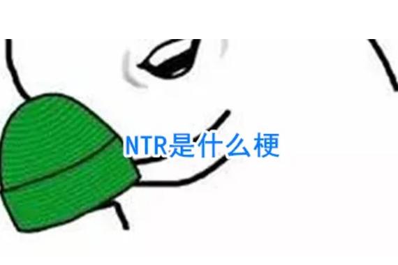 NTR是什么意思的缩写游戏截图