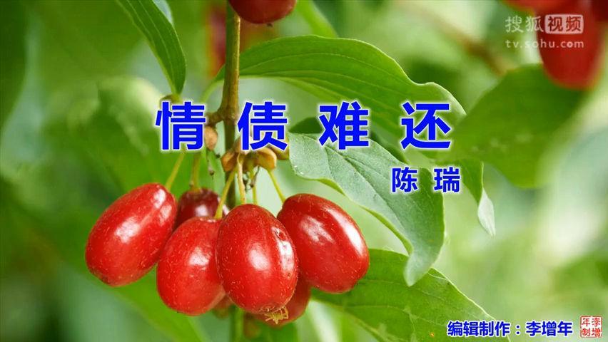 男朋友欠钱你会帮忙吗缩略图