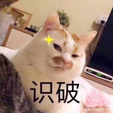 美聚集登录