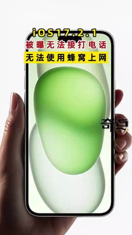 苹果手机无法打开蜂窝移动网络