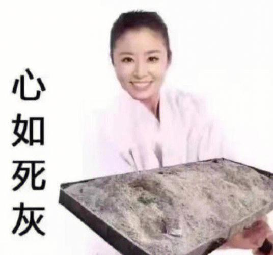 浇花谐音梗