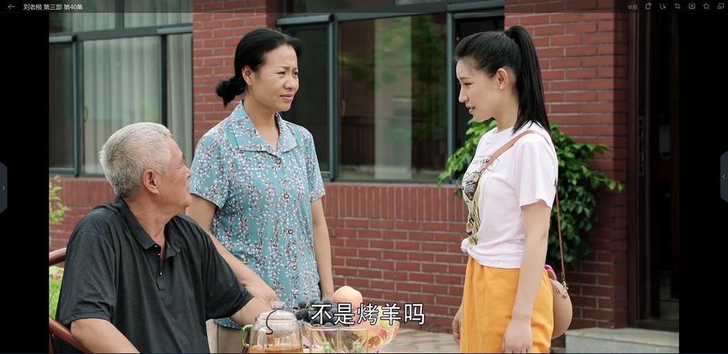 刘老根3国产剧全集