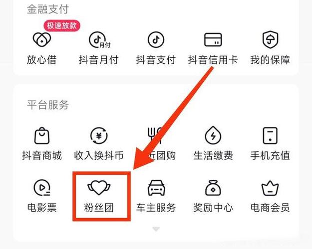 抖音粉丝团介绍